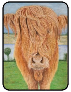 Hattie the Highland Cow – Honesty