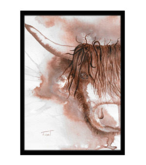 Harrington the Highland Coo