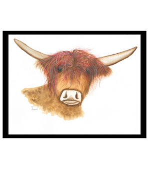 Hatfiz the Highland Coo